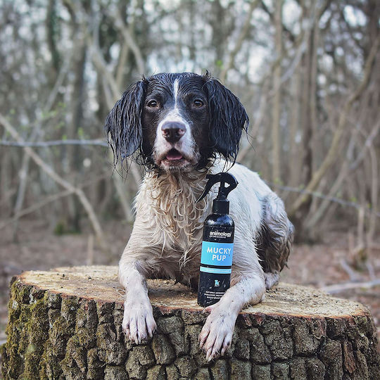 Animology Mucky Pup No Rinse Shampoo Spray