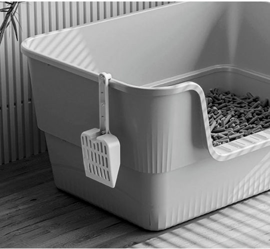 Animal Cat Basin