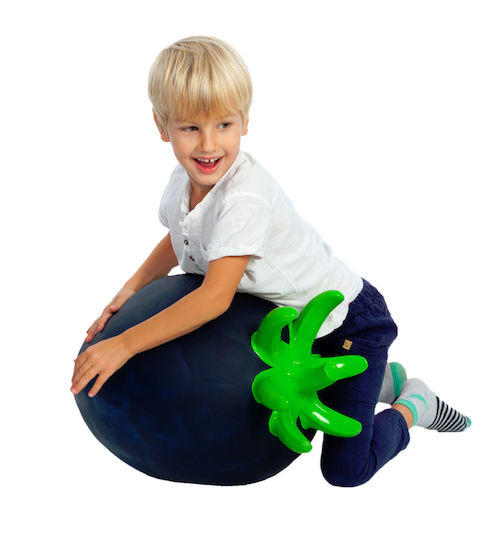 Gerardo’s Toys Hop Hop Fruit Blackberry for 1+ years Years Black