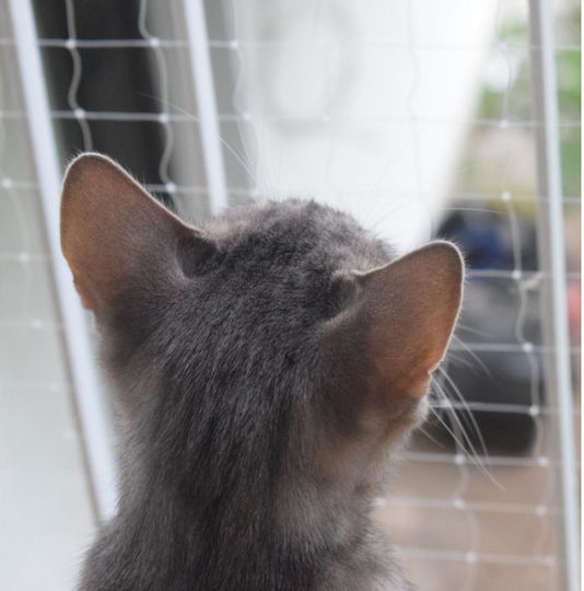 Animal Cat Net 200 x 150cm