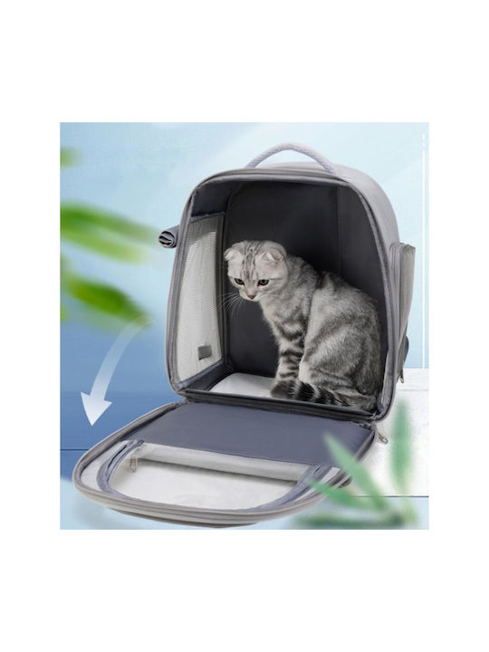 Animal 33cm Gray