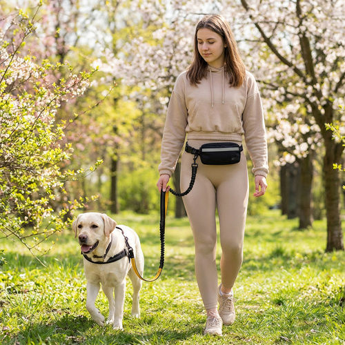 Lesură/Odihnă Pentru Câine De Antrenament Curea Neagră Până La 50kg