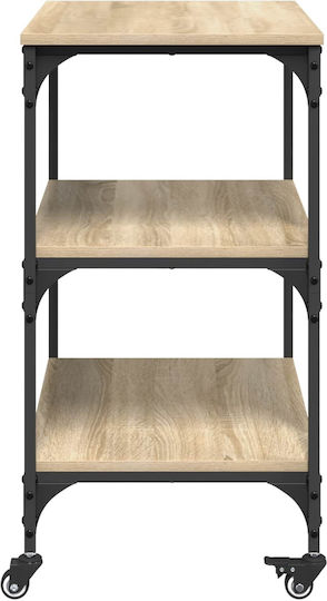 vidaXL vidaXL Küchenregal Hölzernes 3 Ebenen Braun 60x41x76cm