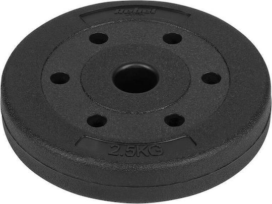 Rebel Set Plăci Metalice Pentru Antrenamentul De Forță 14 Bucăți Greutate Totală 30kg