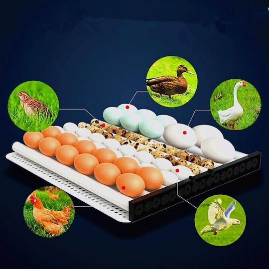 Automatic Egg Incubator 60 Eggs