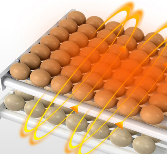 Automatic Egg Incubator 60 Eggs