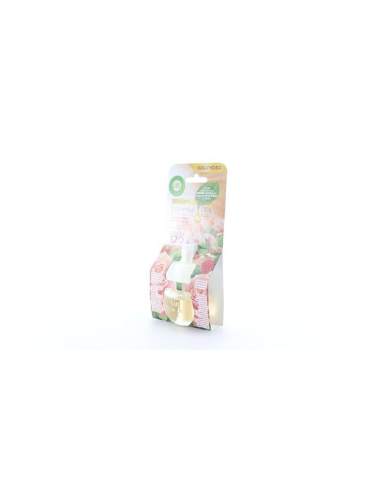 Airwick Nachfüllpack für Steckdosen-Geräte mit Duft Rose 16289 19ml