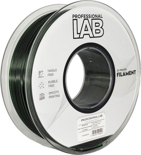 Filament Silk PLA Imprimantă 3D Profesional Lab 1 Kg 1.75 Mm Dublu Culoare Verde Negru