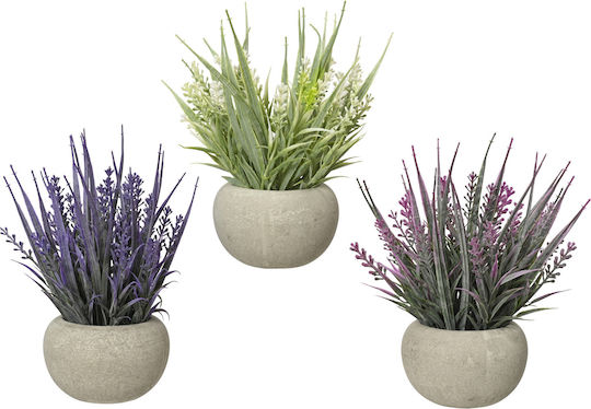 White Lavender In A Small Pot Kaemingk
