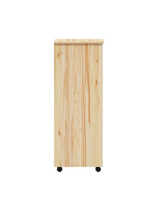 Schublade Büro Transparent Varnish 34x39x103cm