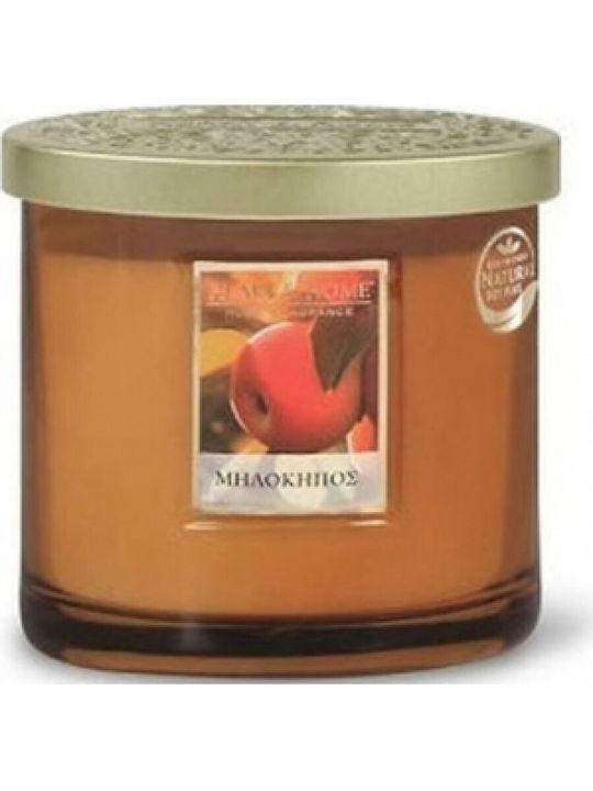 Heart & Home Aromatic Soy Candle in Jar with Apple Orchard Scent 220g