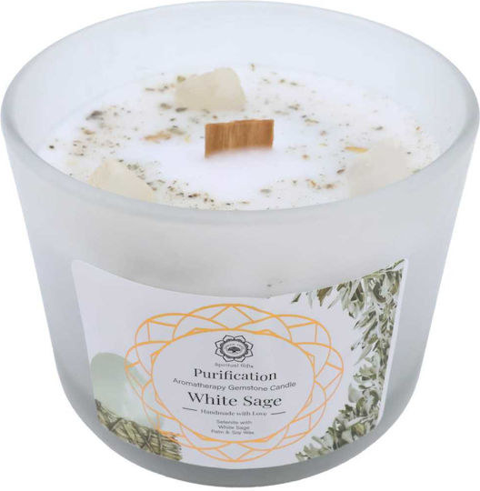 Green Tree Candle Company Soja Kerze in Gefäß Grüne 256gr