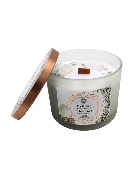 Green Tree Candle Company Κερί Σόγιας σε Βάζο Πράσινο 256gr