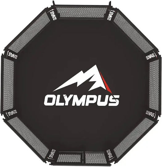 Анадипваем Ринг Mma Olympus 6m X 6m