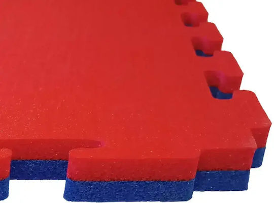 Olympus Sport Gym Equipment Flooring Double Sided Red/Blue 100x100x2cm 1 Piece