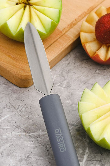 Pirge Gastro Obstermesser aus Rostfreiem Stahl 8,5cm