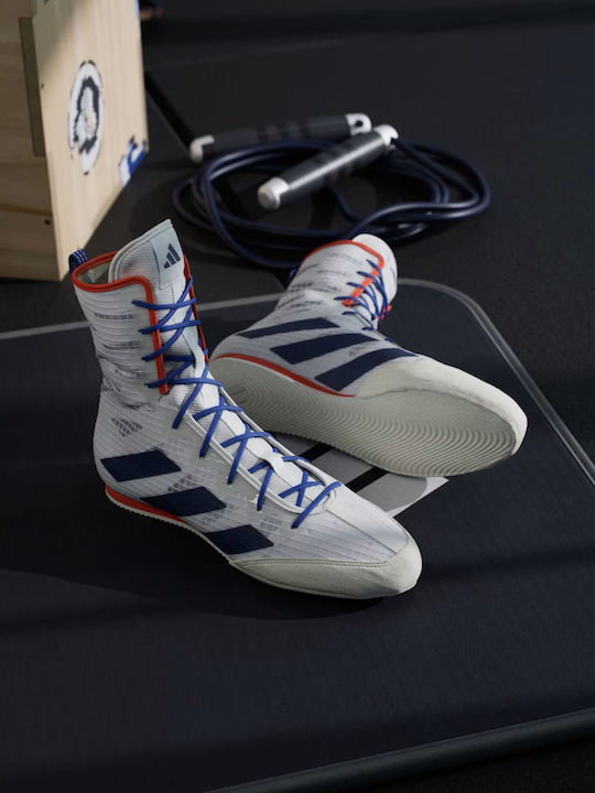 adidas Box Hog 4 Boxing Shoes White