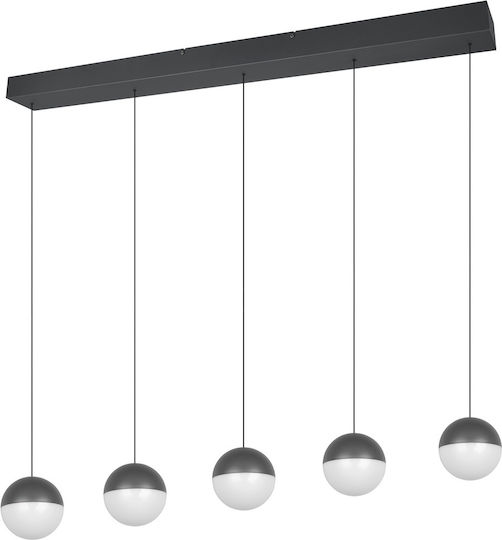 Trio Lighting Senta Gray Ceiling Light