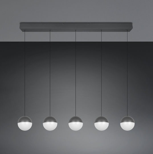 Trio Lighting Senta Gray Ceiling Light