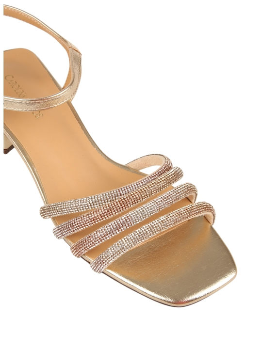 Women's Flat Sandals Gold