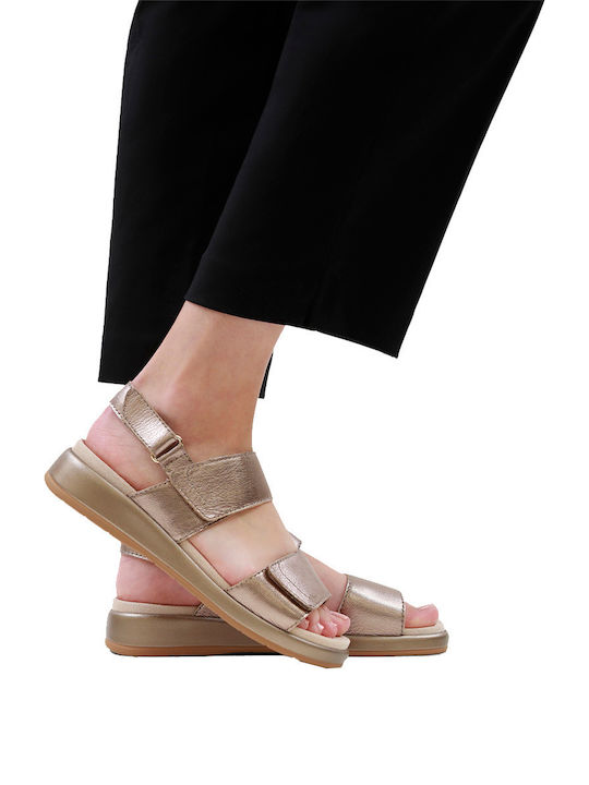 Leather Women's Anatomic Brown Sandals