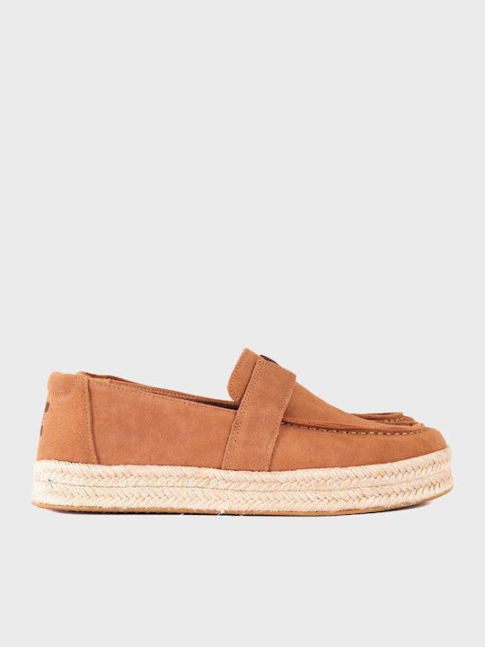 Toms