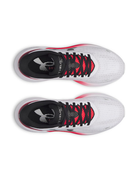 Velociti Men's Sport Shoes Running White