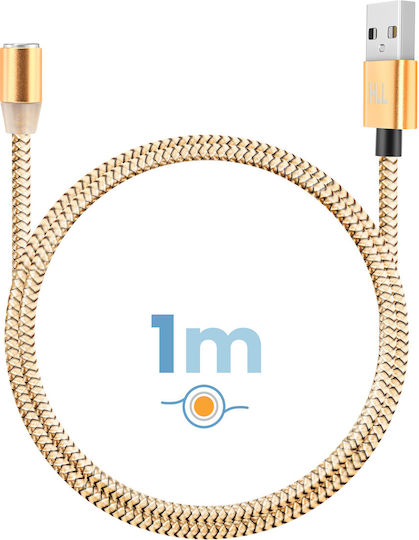 Avizar 3-in-1 Magnetic Cable Usb-c Lightning Micro-usb To Usb-a 1m Gold