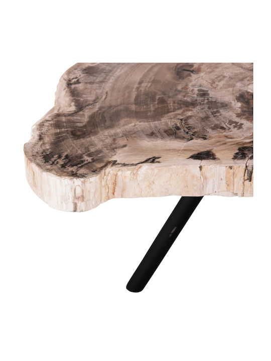 Saman Solid Wood Black Coffee Table M38xL44xH45cm
