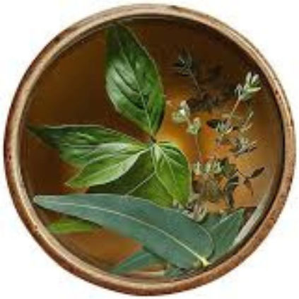 Yogi Tea Ευκάλυπτος / Βασιλικός / Θυμάρι / Βήχιο Βιολογικό Προϊόν 30gr