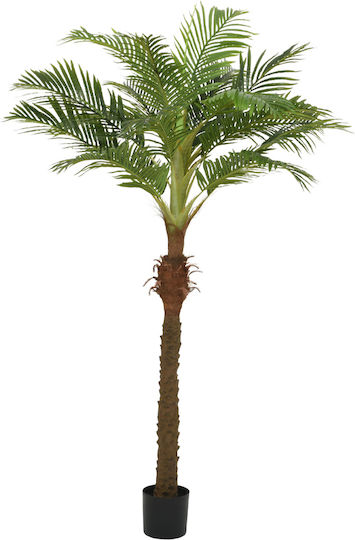 Palm Tree Potted Plant 230cm 110x90x230cm Monochrome Kaeming Palm Tree Potted Plant 230cm 110x90x230cm Monochrome Kaeming