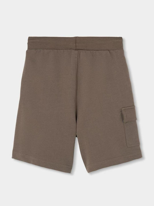 Kids Fabric Shorts/Bermuda Brown