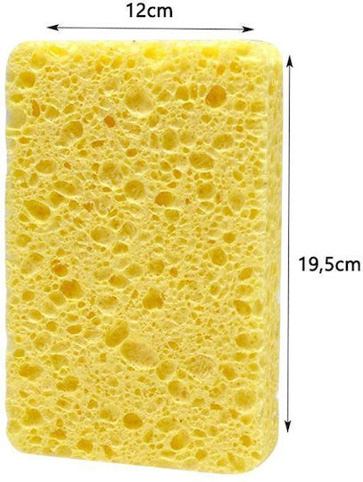 Car Washing / Cleaning Sponge for Car Windows