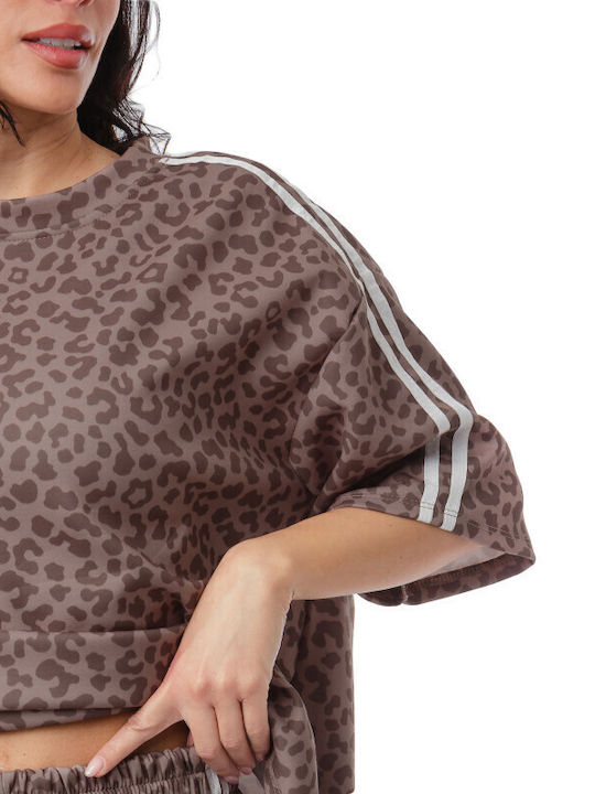 Braunes Set Damenhosen Bluse Animal Print Streifen