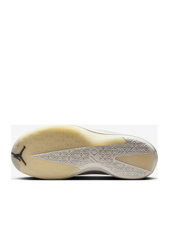 Air  40 Wolf Grey Low Basketball Shoes Photon Dust Flint Grey Wolf Grey