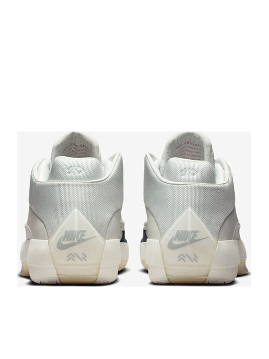 Air  40 Wolf Grey Low Basketball Shoes Photon Dust Flint Grey Wolf Grey