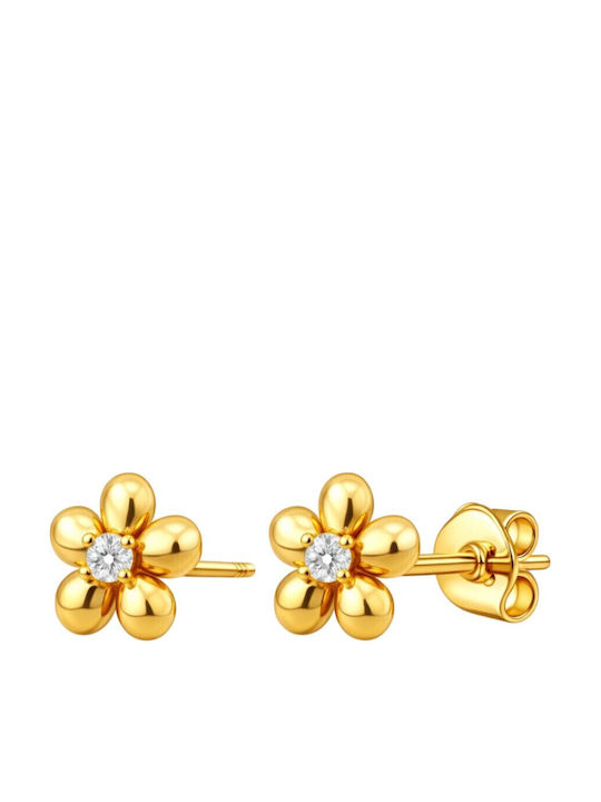 Xryseio Silver Gold Plated Earrings with Stones