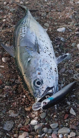 Noeby Τεχνητό Δόλωμα 23gr Χρώμα 175