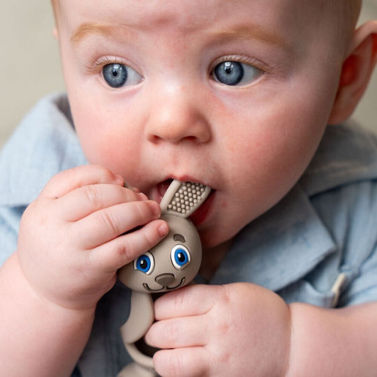 Brush Baby Teething Relief for 0 m+