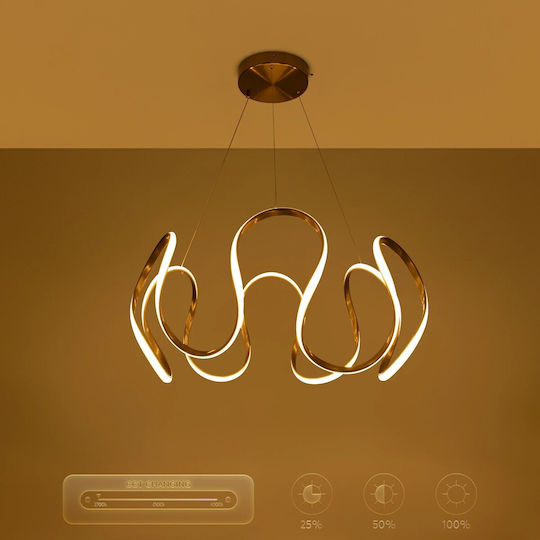 kelvo Tarantula Ceiling Light Gold LED With Adjustable Warm To Cool White Light 78x78x31.5cm