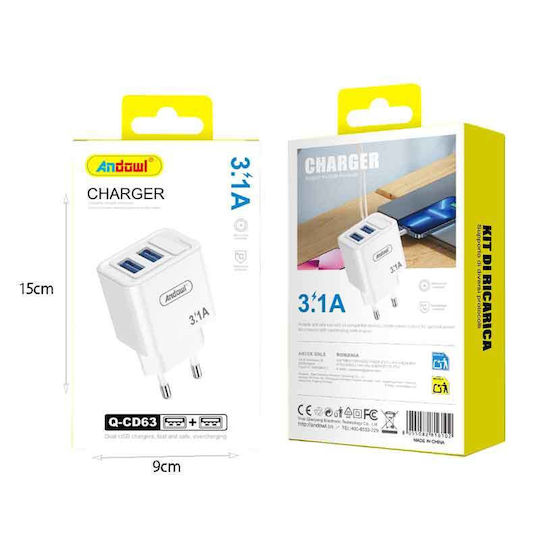 Andowl Φορτιστής και Καλώδιο USB-C Λευκός (Q-CD690)