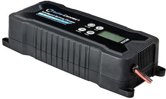 Auto-Connect Car Battery Charger 6/12/24V IBC25X