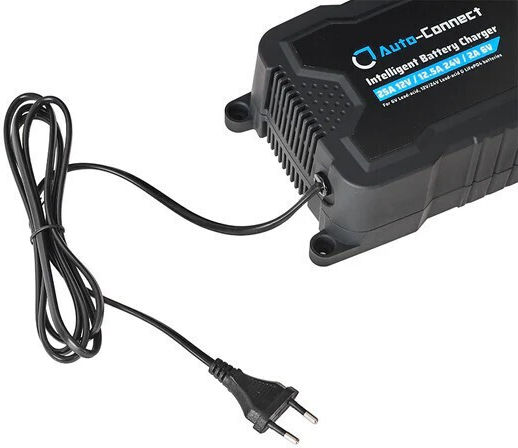 Auto-Connect Car Battery Charger 6/12/24V IBC25X