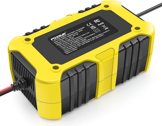 Foxsur Car Battery Charger 12/24V