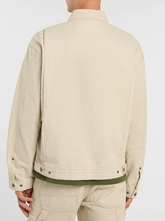 Dickies Dickies