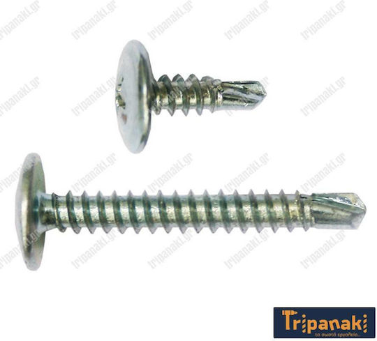 FFG Drilling Screw Phillips with Diameter M4.2 and Length 16mm 1000pcs