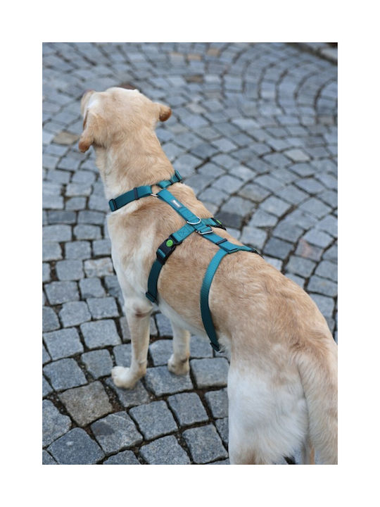 Kerbl Ham Pentru Câini Panică Miami Petrol 15mm 38-52cm