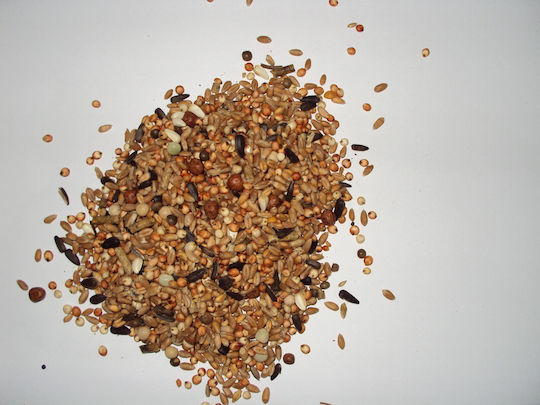 Vogelfutter Tauben Saatgut 20kg