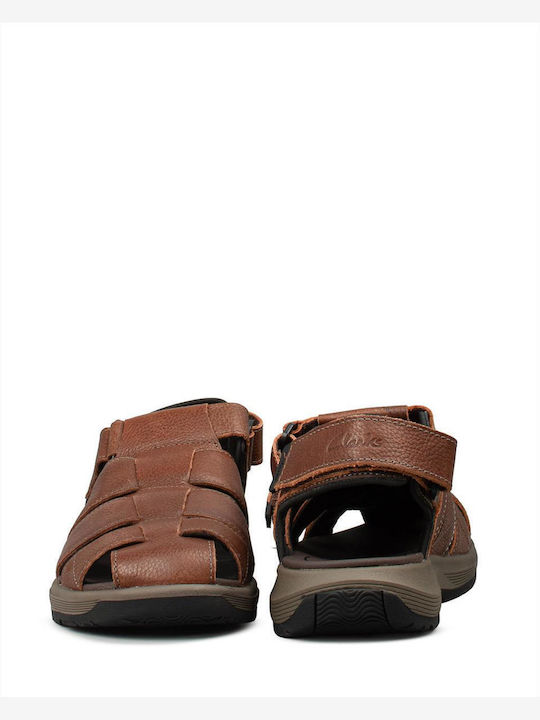 Clarks
