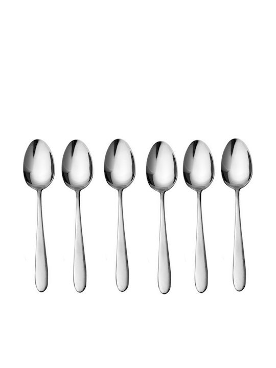 Raki Set Stainless Steel Silver Spoons 6 Pieces